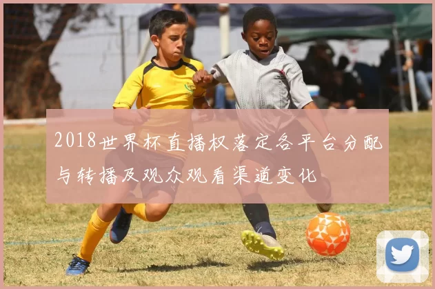 2018世界杯直播权落定各平台分配与转播及观众观看渠道变化