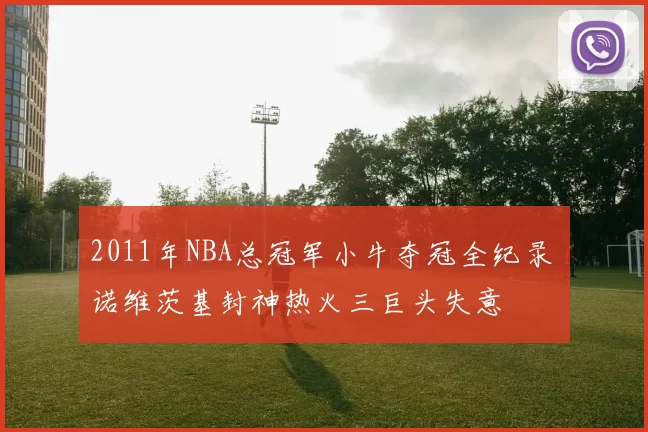 2011年NBA总冠军小牛夺冠全纪录 诺维茨基封神热火三巨头失意