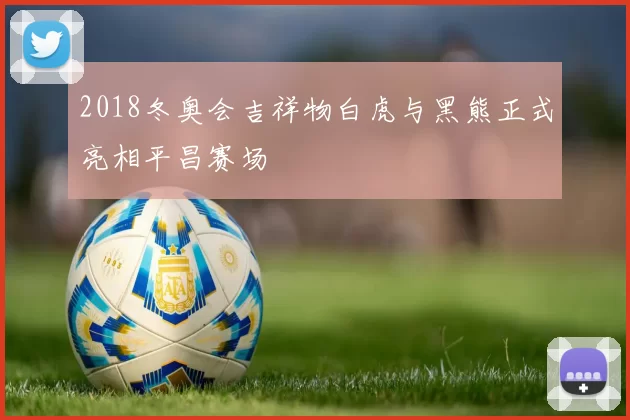 2018冬奥会吉祥物白虎与黑熊正式亮相平昌赛场