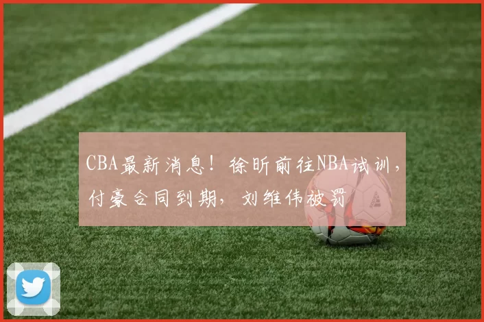 CBA最新消息！徐昕前往NBA试训，付豪合同到期，刘维伟被罚