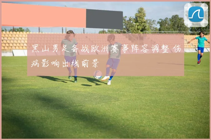 黑山男足备战欧洲赛事阵容调整 伤病影响出线前景